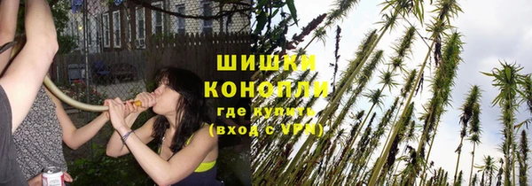 гидра Корсаков