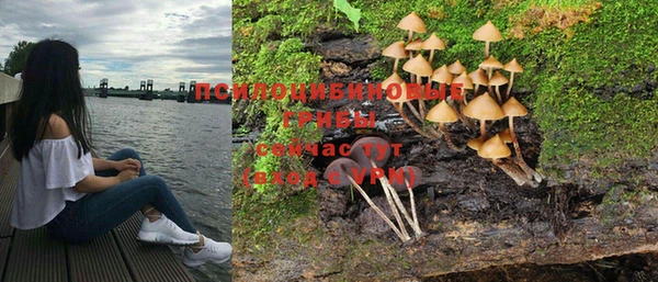мет Аркадак